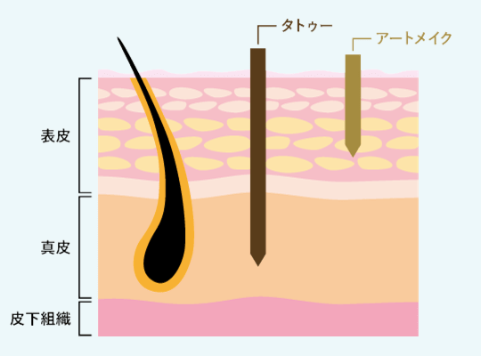 アートメイクとタトゥーの違い